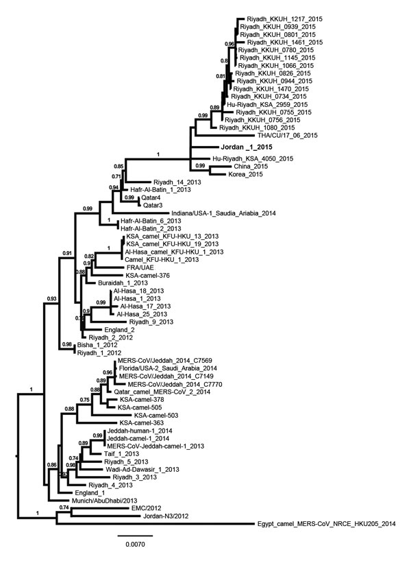Phylogenetic analysis of Middle East respiratory syndrome coronavirus (MERS-CoV) isolated from Jordan (Jordan-1-2015; boldface) compared with reference strains. Genome sequences of representative isolates were aligned by using ClustalW, and a phylogenetic tree was constructed by using the PhyML method in Seaview 4 (http://pbil.univ-lyon1.fr/software/seaview); the tree was visualized by using FigTree version 1.3.1 (http://tree.bio.ed.ac.uk/software/figtree). Values at branches show the result of 