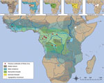 Thumbnail of Relationship between location of index case in Ebola virus (Zaire ebolavirus) outbreaks and putative reservoir distribution. Ebola virus outbreaks (red dots) and distribution of Eidolon helvum, Mops condylurus, Myonycteris torquata, Epomops franqueti, and Hypsignathus monstrosus bats. Data are from the Centers for Disease Control and Prevention’s Viral Special Pathogens Branch and the International Union for the Conservation of Nature.