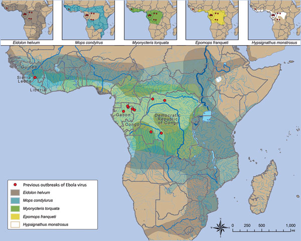 Figure 2 - Perspectives on West Africa Ebola Virus Disease Outbreak, 2013-2016 - Volume 22 ...