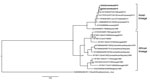 Thumbnail of Majority-rule consensus tree based on Zika virus envelope and nonstructural protein 1 gene sequences (2,604 nt) of isolates from patients in Sincelejo, Colombia, October–November 2015, compared with reference isolates. The tree was constructed on the basis of Bayesian phylogenetic analysis with 8 million generations and a general time-reversible substitution model using MrBayes software version 3.2 (http://mrbayes.sourceforge.net). Numbers to the right of nodes represent posterior p