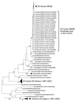 Thumbnail of Phylogenetic analysis of the viral protein 7 gene of G8 rotavirus strains used in a study of the clinical and molecular features of a G8P[8] rotavirus outbreak strain, Hokkaido Prefecture, Japan, 2014. Closed circle indicates the G8P[8] rotavirus strain from Hokkaido; open circles indicate human G8P[8] strains from Southeast Asia; and closed boxes indicate other strains from Japan. A Tamura 3-parameter model was used for the maximum-likelihood method. Bootstrap values are shown at t