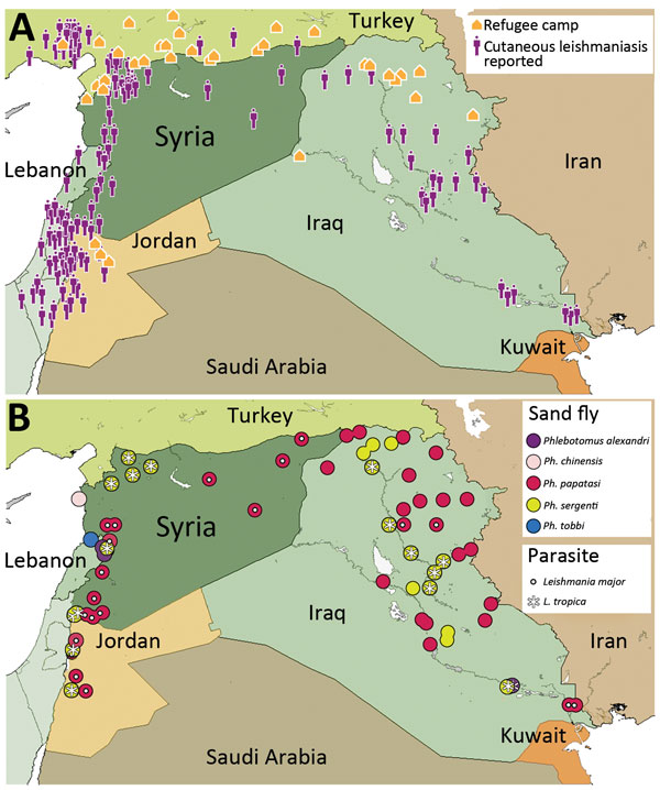 Cutaneous leishmaniasis prevalence within Syria and neighboring countries of the World Health Organization’s Eastern Mediterranean Region, 2013. A) Prevalence among refugee camps. Case data were taken from http://datadryad.org/resource/doi:10.5061/dryad.05f5h. B) Distribution of sand fly and parasite species. Country names and boundaries are not official. Maps were adapted from https://hiu.state.gov/Products/Syria_DisplacementRefugees_2015Apr17_HIU_U1214.pdf. 