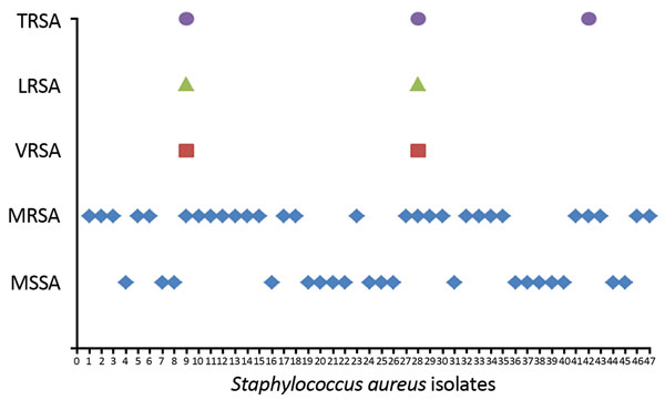 Distribution of various resistance types of Staphylococcus aureus isolates collected in eastern India, 2013–2015. LRSA, linezolid-resistant S. aureus; MRSA, methicillin-resistant S. aureus; MSSA, methicillin-sensitive S .aureus; TRSA, tigecycline-resistant S. aureus; VRSA, vancomycin-resistant S. aureus.