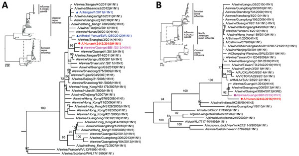 Phylogenetic analysis of Eurasian avian-like influenza A/Hunan/42443/2015 virus (HuN EA-H1N1). A) Analysis of the hemagglutinin gene of representative clades of Eurasian avian-like H1N1 viruses. B) Analysis of the Polymerase basic 2 gene of influenza A(H1N1)pdm09 virus. Insets show evolutionary analyses for all lineages of subtype H1N1 viruses. The reliability of the trees was assessed via bootstrap analysis with 1,000 replications; only bootstrap values &gt;60% are shown. The horizontal distanc
