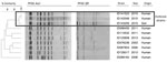 Thumbnail of Patterns of pulsed-field gel electrophoresis (PFGE) using AscI and SfiI enzymes for specimens from 2 occupational cases of Legionella longbeachae infection, a positive soil sample, and various other L. longbeachae strains analyzed during 2003–2015 at the Laboratoire de Santé Publique du Québec, Quebec, Canada.