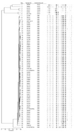 Thumbnail of Dendrogram obtained after DiversiLab genotyping analysis (based on PCR amplification of repeat sequences of DNA) of 56 enterohemorrhagic Escherichia coli (EHEC) O80 strains from humans in France compared with other isolates detected in France, Germany, and Spain, January 2005–October 2014. Other isolates include 1 animal-origin strain from France (LNR511-4, bovine, 2012); 5 animal- and human-origin isolates from Spain (FV4476, porcine; VTB-262, bovine; IH43632/03a, IH33264/07a, and 