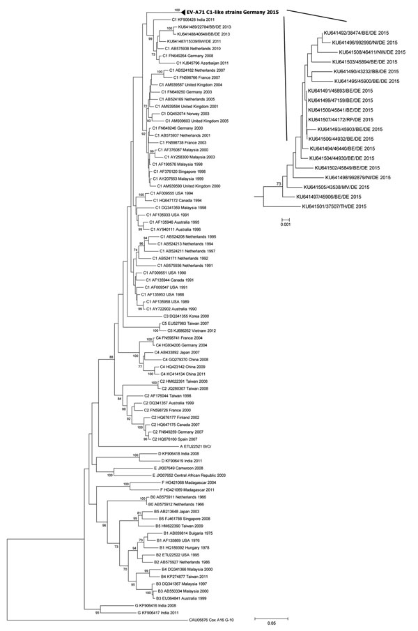 Phylogenetic tree based on complete viral protein 1 (VP1) nucleotide sequences of the strains identified within the German enterovirus surveillance (bold) and a representative set of enterovirus A71 strains available from GenBank (891 bases, corresponding to nucleotide positions 2439–3329 in the prototype BrCr ETU22521). The tree was constructed by using the neighbor-joining method (Kimura 2-parameter model) with 1,000 replicates through MEGA 6.06 (http://www.megasoftware.net/). Coxsackievirus A