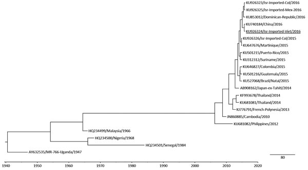 Phylogenetic tree of Zika virus RNA isolated from travelers returning to Israel. Bayesian maximum clade credibility time-scaled phylogenetic tree (BEAST, http://beast.bio.ed.ac.uk/Main_Page) was generated by using 4 partially sequenced Zika virus envelope genes (231 bp) detected from 4 samples obtained from patients in Israel during 2015–2016 and 19 reference strains belonging to the lineages from Asia and Africa. Isr, Israel; Viet, Vietnam; Col, Colombia; Mex, Mexico. Underlining indicates Zika