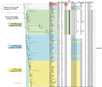 Thumbnail of Core genome single-nucleotide polymorphism (SNP)–based phylogenetic tree of Escherichia coli sequence type (ST) 131 isolates. This maximum-likelihood phylogram is based on a 4,086,650-bp core genome and a total of 5,280 SNPs. The tree is rooted by using the outgroup H22 isolates, and asterisks indicate bootstrap support &gt;90% from 100 replicates. Strains that had previously been sequenced are in bold. The Country columns indicate places of isolation: Ja to Jw, Japan (a to w indica