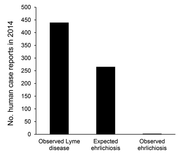 Number of observed versus expected ehrlichiosis cases, Monmouth County, New Jersey, USA, 2014. Expected values calculated by using number of observed Lyme disease cases as benchmark.