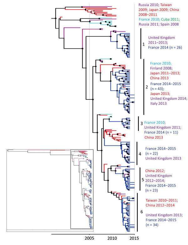Phylogenetic tree based on partial viral protein (VP1) coding sequences of coxsackievirus (CV) A6, France, April 2014–March 2015. The maximum credibility tree is inferred with the partial VP1 sequence (369 nt, position 2,441–2,808 relative to the Gdula CV-A6 prototype strain). The phylogenetic relationships were inferred with a Bayesian method by using a relaxed molecular clock model. The tree was reconstructed using Figtree version 1.4.2 (http://tree.bio.ed.ac.uk/software/figtree). For clarity,