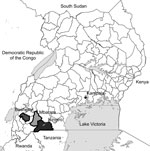 Thumbnail of Districts where surveys of asymptomatic children were conducted to determine Plasmodium infections, southwestern Uganda. 