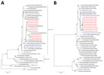 Thumbnail of Phylogenetic analysis of highly pathogenic avian influenza A(H5N1) viruses isolated from poultry in Ghana in 2015: A) hemagglutinin; B) polymerase basic protein 2. Viruses sequenced for this study are in red and reference viruses are in blue; other sequences were downloaded from the Global Initiative on Sharing Avian Influenza Data (http://platform.gisaid.org) and GenBank databases. Evolutionary analyses were conducted with MEGA6 (http://www.megasoftware.net/). Bootstrap values &gt;
