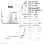Thumbnail of Timeframe of Zika virus outbreaks in the Americas. A molecular clock phylogeny is shown with the Zika virus outbreak lineage estimated from complete and partial (&gt;1,500 nt) coding region sequences. For visual clarity, 5 basal Southeast Asia sequences (Genbank accession nos. HQ23499 [Malaysia, 1966]; EU545988 [Micronesia, 2007]; KU681082 [Philippines, 2012]; JN860885 [Cambodia, 2010]; and KU681081 [Thailand, 2013]) are not displayed. Blue horizontal bars represent 95% Bayesian cre