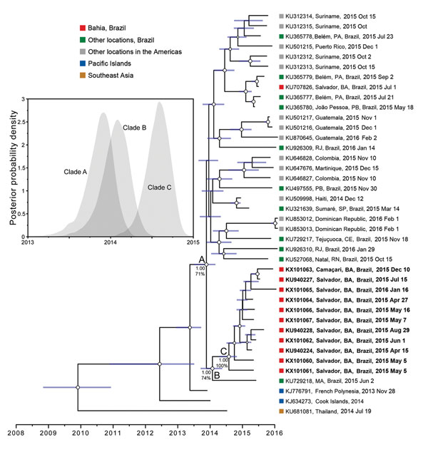 Timeframe of Zika virus outbreaks in the Americas. A molecular clock phylogeny is shown with the Zika virus outbreak lineage estimated from complete and partial (&gt;1,500 nt) coding region sequences. For visual clarity, 5 basal Southeast Asia sequences (Genbank accession nos. HQ23499 [Malaysia, 1966]; EU545988 [Micronesia, 2007]; KU681082 [Philippines, 2012]; JN860885 [Cambodia, 2010]; and KU681081 [Thailand, 2013]) are not displayed. Blue horizontal bars represent 95% Bayesian credible interva