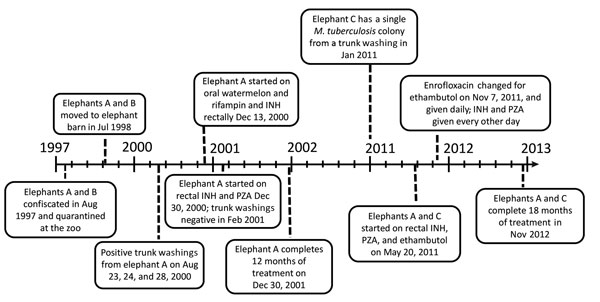 Annotated timeline documenting the course of events in study of tuberculosis in captive elephants, Albuquerque, New Mexico, USA, 1997–2013. INH, isoniazid; PZA pyrazinamide.