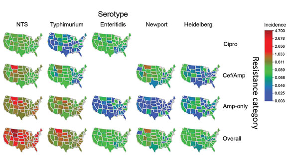 Estimated incidence of infection with all NTS and major serotypes with clinically important resistance (no. infections per 100,000 person-years), by state and resistance category, United States, 2004–2012. Estimates were derived by using Bayesian hierarchical models. All NTS includes the 4 major and other serotypes. Isolates in each category may have resistance to other agents. Data on Cipro among Newport (8 isolates), Cipro among Heidelberg (7), and Cef/Amp among Enteritidis (2) were too sparse