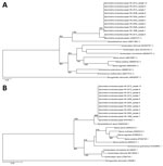 Thumbnail of Phylogenetic analysis of cox1 and 28S rRNA genes of archived formalin-fixed paraffin-embedded tissues obtained from human sparganosis cases, Hong Kong, 1999–2015. A) A 252-bp sequence from the cox1 gene (GenBank accession nos. KU760072–81) was included for each isolate. B) A 211-bp sequence from the 28S rRNA gene (accession nos. KX831668–77) was included for each isolate. Trees were constructed by using the neighbor-joining method and rooted with the corresponding sequence in Strong