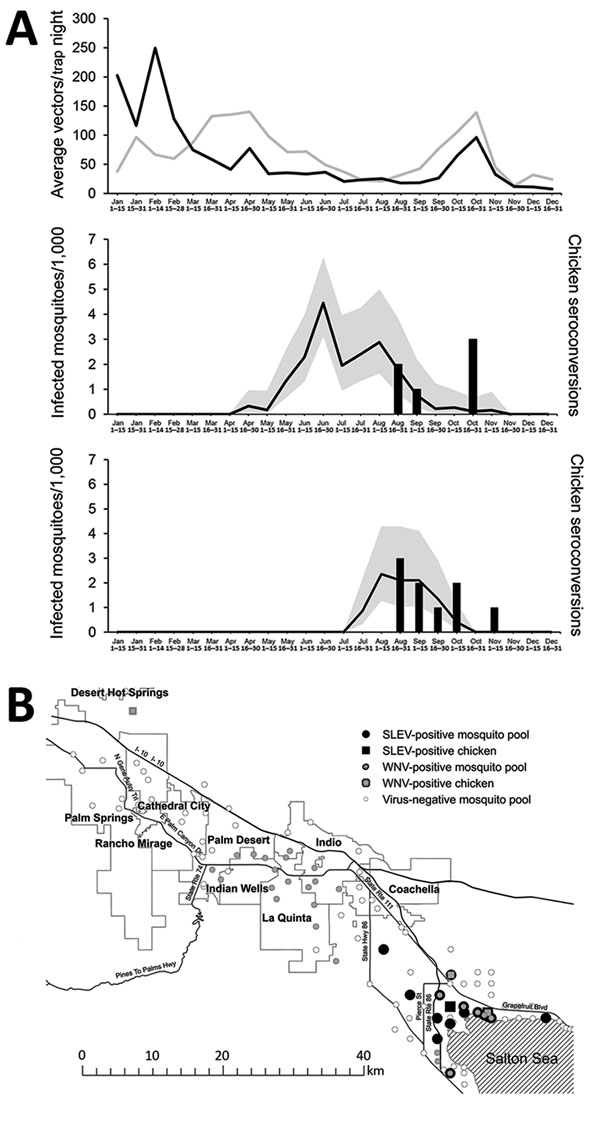 St. Louis encephalitis virus (SLEV) and West Nile virus (WNV) surveillance in mosquitoes and sentinel chickens in Coachella Valley, Riverside County, California, USA, 2015. A) Vector abundance (upper panel) from the same locations in all of Riverside County at bimonthly intervals during 2010–2014 (gray line) and in 2015 (black line), and infection rates for WNV (middle) and SLEV (lower) based on maximum likelihood estimates (black lines) with 95% CI (gray shading) in female Culex tarsalis and Cx