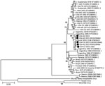 Thumbnail of St. Louis encephalitis virus phylogeny with 2015 California (USA CA) and 2014 and 2015 Arizona (USA AZ) genomes (black circles). Complete nucleotide genomes (except for isolate 2282, which included only the E gene) were compared by using a neighbor-joining algorithm and 1,000 bootstrap replicates (support numbers at nodes) by using MEGA 7 (14). Isolates are named according to location, year of isolation, strain name for 2014 and 2015 isolates, and GenBank accession number. Scale bar