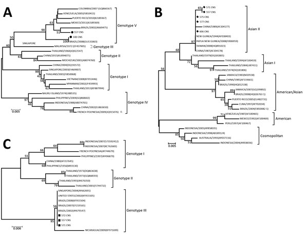 Phylogenetic tree of dengue virus (DENV) isolates obtained from children with meningitis during dengue epidemics, Brazil, 2014–15. A) DENV-1; B) DENV-2; C) DENV-3. The neighbor-joining tree was constructed based on the partial NS5 gene sequences. Sequences from this study (black circles in panel A, diamonds in panel B, squares in panel C) were compared with sequences retrieved from GenBank (accession numbers shown in parentheses).