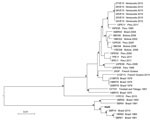 Thumbnail of Neighbor-joining tree of full-genome Mayaro virus sequences. The tree was inferred from pairwise distances estimated with the best fitting nucleotide substitution model (general time reversible plus gamma). The tree includes the isolate from Haiti identified in this study (in boldface) and all full-genome sequences with known country of origin and sampling date downloaded from GenBank. Branches are drawn according to the scale bar at the bottom, which indicates nucleotide substituti