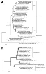 Thumbnail of Phylogenetic characterization of orthopoxvirus gene A56R and parapoxvirus gene p37K of viruses obtained from patient lesion samples from an outbreak in Colombia, 2014. Trees were inferred by the neighbor-joining method. A) Nucleotide sequences of the A56R gene (829 bp) of reference orthopoxvirus strains were aligned and used for phylogenetic inference. The evolutionary distances were computed by using the T92+G model (shape: 0.69). Vaccinia virus (VACV) groups 1 and 2 are labeled wi