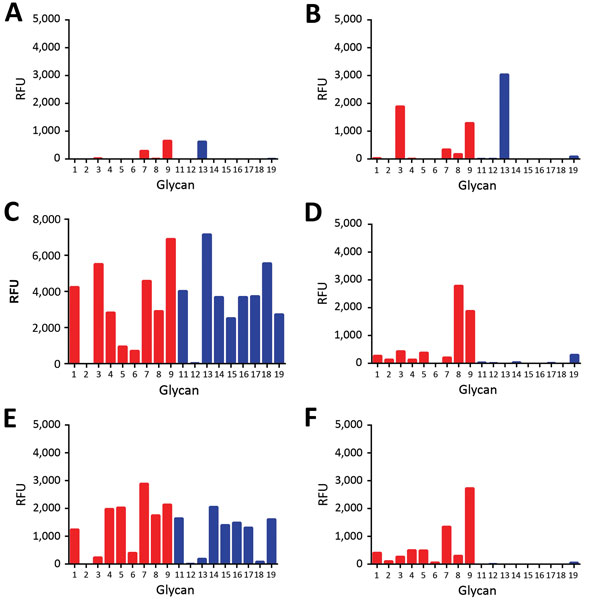 Glycan array analysis of influenza A virus mutant H5 proteins. A) mutant H5N12.3.4 K222Q (QS); B) mutant H5N12.3.4 S227R (KR); C) mutant H5N12.3.4  K222Q/S227R (QR); D) H5N8 Q222K (KR); E) R227S (QS); F) Q227R/R227S (KS). Proteins were applied to the glycan array as detailed in the legend to Figure 2. Letters in parentheses indicate amino acids at positions 222 and 227. Binding of hemagglutinins is indicated in relative fluorescence units (RFU). Binding is shown to sialylated glycans present in 