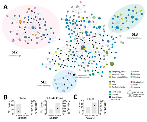 Median-joining haplotype network of 254 complete viral protein 1 nucleotide sequences of norovirus GII.17 Kawasaki. Each vertex represents a unique sampled haplotype. Internal black nodes are unsampled intermediate hypothetical haplotypes. Red arrow denotes the first case of norovirus GII.17 Kawasaki in this study (NS-405; collected in September 2014 from Hong Kong). Blue arrow denotes a highly connected basal haplotype from which nearly all haplotypes originated. Vertices are colored by country