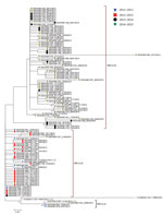 Thumbnail of Maximum-likelihood phylogenetic tree of unique respiratory syncytial virus (RSV) genotype ON1 G gene ectodomain sequences from Kilifi, Kenya, 2012–2015. The taxa are color coded by the epidemic season of detection (key), and the names represent KEN/Kilifi/serialnodate of collection. Note that although the study detected RSV ON1 in the epidemic season 2011/2012, the first ON1 cases were in 2012.