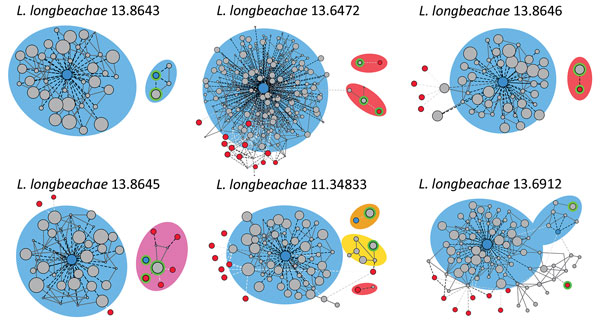 Legionella longbeachae plasmid analysis: contigs networks reconstructions for 6 representative L. longbeachae types of plasmid content. The networks of the contigs representing the main chromosome and plasmids comprising the genome obtained by using PLACNET (38), a program enabling reconstruction of plasmids from whole-genome sequence datasets. The sizes of the contig nodes (in gray) are proportional to their lengths; continuous lines correspond to scaffold links. Dashed lines represent BLAST (h