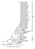 Thumbnail of Phylogenetic relationship of HEV sequences derived from wild boars and deer from Germany, 2013–2015. The tree is based on a 280-bp fragment of the ORF1 (RNA-dependent RNA polymerase gene) region. The strain designations, animal species (Wb, wild boar), sample type, and sampling year (season A, 2013–2014; season B: 2014–2015) are indicated for the novel strains. The GenBank accession numbers, the corresponding hosts, the geographic origins and genotypes are indicated for selected add