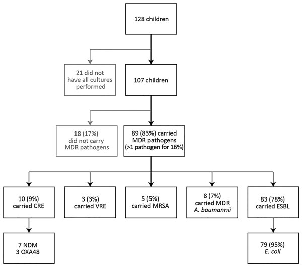 Carriage of MDR pathogens from 5 pathogen groups in 107 Syrian children treated at Galilee Medical Center, Nahariya, Israel, March 2013–February 2016. Of 128 children included in the study, 29 had been previously reported (2); all MDR carriage rate calculations are based on the 107 children for whom screening cultures for all 5 pathogen groups were performed. A. baumannii, Acinetobacter baumannii; CRE, carbapenem-resistant Enterobacteriaceae; E. coli, Escherichia coli; ESBL, extended-spectrum β-