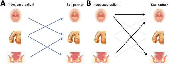 Traditional and proposed transmission models for gonorrhea in men who have sex with men (MSM). A) Generally accepted transmission routes (arrows) for gonorrhea between sites in MSM from an infected index case-patient to an uninfected sexual partner. B) Additional proposed transmission routes (dark arrows) compared with accepted transmission routes (light arrows). MSM, men who have sex with men.