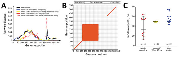 Comparison of circumsporozoite protein (csp) gene sequence divergence among Plasmodium isolates from different geographic regions. A) Pairwise genetic distance plot of all amino acid positions of the csp gene. The matrix-normalized distances based on the standard point accepted mutation (Dayhoff–PAM) model that account for the probability of change from 1 amino acid to another were calculated. Samples were analyzed as a whole and partitioned by geographic regions as indicated by colors. B) Dot p
