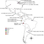 Thumbnail of Geographic locations from which virus strains used in study of human infection with MAGV were isolated. Red star indicates the location of the MAGV-like isolate OBS6657; circles indicate source locations for other isolates used in this study. Locations for other isolates are indicated as follows: blue, other MAGV strains; green, TLAV; gold, PLAV; purple, CVV; orange, FSV. CVV, Cache Valley virus; FSV, Fort Sherman virus; MAGV, Maguari virus; PLAV, Playas virus; TLAV, Tlacotalpan vir