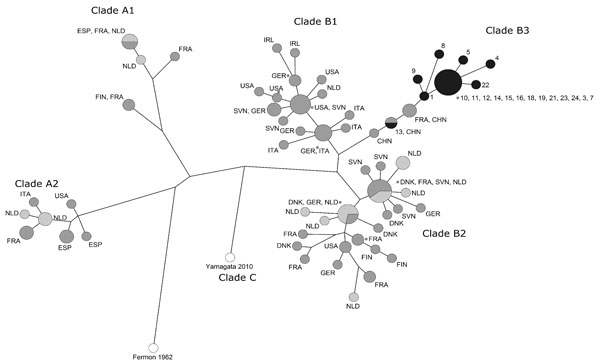 Maximum-parsimony tree of partial viral protein 1 sequences of enterovirus D68 (EV-D68). Included are the strains obtained in the laboratory of the University Medical Center Groningen (Groningen, the Netherlands) in 2014 (light gray, n = 23) and 2016 (black, n = 20) and worldwide isolates from 2014 (dark gray, n = 73). Recent strains cluster in the recently described clade B3, with a nucleotide divergence of 2.1% within clade B3, 5.5% to clade B1, and 7.3% to clade B2. Clades are according to To