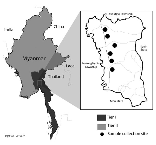 The study site, Shwegyin Township, Myanmar, where molecular evidence of drug resistance in asymptomatic malaria infections was obtained. As of 2014, Myanmar artemisinin resistance containment areas were divided into Tier I (52 townships) and Tier II (all remaining townships).