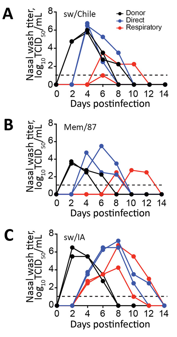 Evaluation of H1 virus transmission in ferrets. Donor ferrets (black lines; n = 2 ferrets/group) were inoculated with 106 50% tissue culture infectious dose (TCID50) units of H1 influenza virus sw/Chile (A), Mem/87 (B), or sw/IA (C) viruses. Naive ferrets (n = 2) were either placed in the same cage with the infected group (direct contact, blue lines) or housed in separate cages (respiratory transmission, red lines) and nasal washes were collected on the indicated day postinfection for virus quan