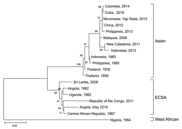 Phylogenetic comparison of the chikungunya virus sequence obtained from a patient traveling from Angola to Japan in May 2016 and reference sequences. Virus lineages are shown on the right. Scale bar represents substitutions per nucleotide position. ECSA, East/Central/South African lineage.