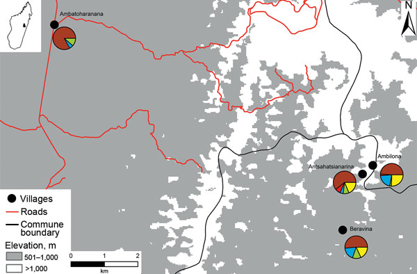 Map of pneumonic plague outbreak (n = 14) in the commune of Ampasipotsy Gara in Moramanga, Madagascar, 2015. The index case-patient (case-patient 1) was infected with Yersinia pestis at Antsahatsianarina and spread the bacterium to Beravina (burial site of case-patient 1), Ambilona (case-patient 10’s home), and Ambatoharanana (burial site of case-patient 2 and home of case-patient 14). Each pie chart indicates the proportions of plague cases (red), seropositive contacts (blue), seronegative cont