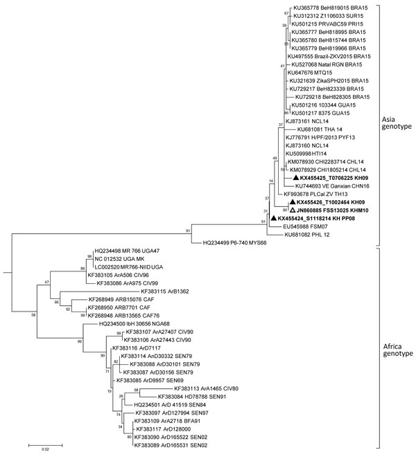 Phylogenetic tree of Zika virus partial nonstructural protein 5 gene of 3 strains detected from humans in Cambodia. The partial sequences of the nonstructural protein 5 gene (192–194 nt) generated from the PCR products obtained for each strain were analyzed and assembled by using CLC Main Workbench 5.5 package (CLC bio A/S, Aarhus, Denmark). MEGA6 (14) was used to perform multiple sequence alignment of Cambodia strains with Zika virus reference strains from Africa and Asia genotypes available in