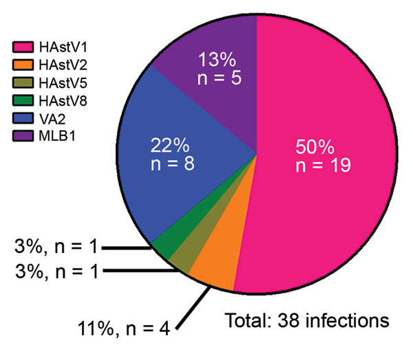 Co-circulating human astrovirus (HAstV) strains in pediatric patients with cancer in Memphis, Tennessee, USA. Six different HAstV genotypes were identified among the HAstV-positive fecal samples collected from pediatric patients in 2008 or in 2010–2011; more than one third of the viruses were noncanonical VA and MLB genotypes.