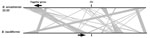 Thumbnail of Genetic arrangement of the genome of B. ancashensis isolate 20.00 from a patient with verruga peruana, rural Ancash region, Peru, compared with that of B. bacilliformis KC583. Black lines indicate chromosomes and gray lines link syntenic genomic regions that are rearranged between the 2 genomes. FliJ genes are indicated by black vertical bars, and flagellar gene clusters are indicated by arrows, which indicate direction of transcription.