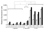 Thumbnail of Comparison of rhodamine 6G efflux over time among Candida isolates from Tel Aviv, Israel. Rhodamine 6G efflux is expressed as relative fluorescence units measured in culture supernatants after the addition of 8 mM glucose. Statistical significance was measured with 1-way analysis of variance and Dunnett’s post-test comparing each C. haemulonii and C. auris strain with the averaged value of C. glabrata strains at the corresponding time point. White bars, 5 min; gray bars, 15 min; bla