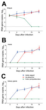 Thumbnail of Zika virus RNA copies in infected midguts (A), heads (B), and salivary glands (C) of Aedes aegypti, Ae. albopictus, and Culex quinquefasciatus mosquitoes in China. Results are expressed as means ± SD. Dotted lines indicate the level below which minimum value could not fall. Error bars indicate SDs. 