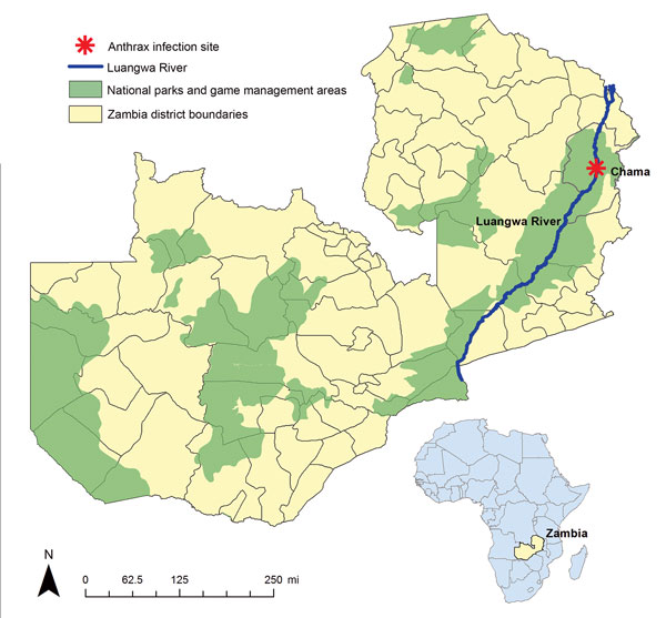 Location of an anthrax outbreak that originated in a game management area along the South Luangwa River in the Chama District of northeastern Zambia, 2011. Inset map shows location of Zambia in Africa.
