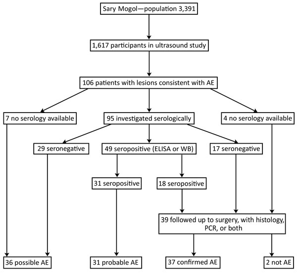 Flowchart of patient selection, ultrasound investigation, serologic testing, and case definitions in a study of AE, southern Kyrgyzstan, 2012. AE, alveolar echinococcosis; WB, Western blot.