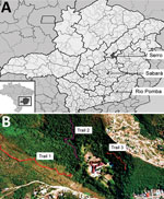 Thumbnail of Locations of study areas, Minas Gerais state, Brazil. A) Locations of the 3 municipalities where collections were performed: Sabará, Serro, and Rio Pomba. Inset shows location of Minas Gerais state in southeastern Brazil. B) Identification of 3 sample transects in Sabará. Trail 1 has savannah vegetation, and trails 2 and 3 have Atlantic Forest vegetation. Sources: panel A, Scribble Maps; panel B, T.M.F. de Ázara.