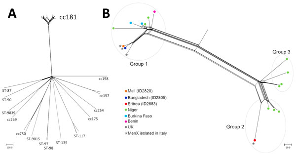 Analysis of Neisseria meningitidis serotype X (MenX) isolates from 3 refugees in Italy and comparison isolates from the Neisseria PubMLST database (http://pubmlst.org/neisseria/), as of December 28, 2016). A) Neighbor-net phylogenetic network based on a comparison of core genome loci of all MenX genomes (n = 36) available in PubMLST database. For each strain, the available designation by clonal complex (CC) or sequence type (ST) is indicated. B) Neighbor-net phylogenetic network showing 3 isolat